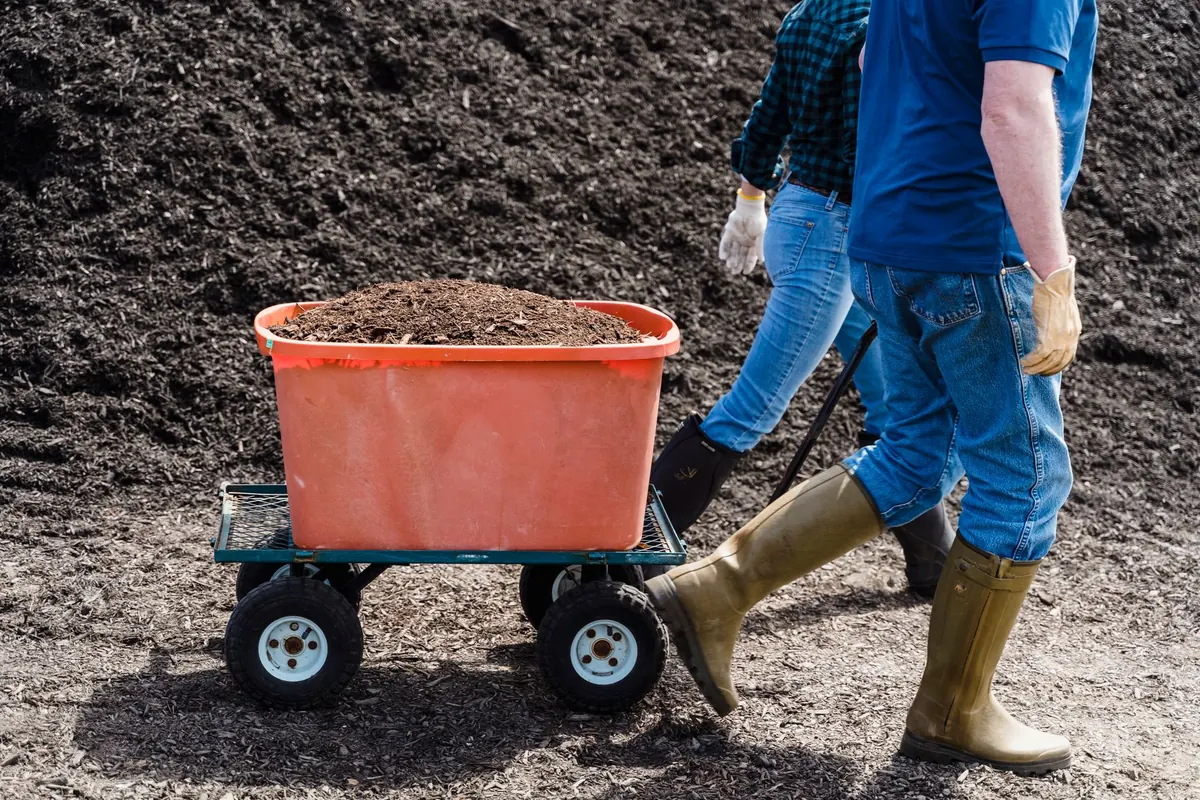 Hot Composting vs Wormery: Which Is Better for a Small UK Garden?